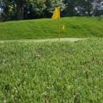 Artificial Putting Turf